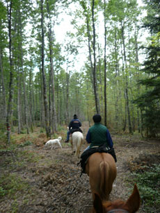 Randonnée équestre dans les Abruzzes - RANDOCHEVAL