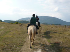 Randonnée équestre dans les Abruzzes - RANDOCHEVAL