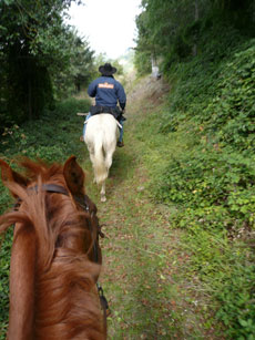 Randonnée équestre dans les Abruzzes - RANDOCHEVAL