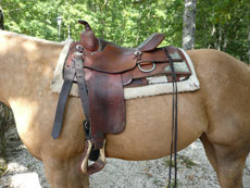 Randonnée équestre dans les Abruzzes - RANDOCHEVAL