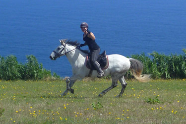 Voyage à cheval aux Açores sur Sao Miguel - Randonnée équestre organisée par Randocheval