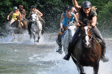 Voyage à cheval aux Açores sur Sao Miguel - Randonnée équestre organisée par Randocheval