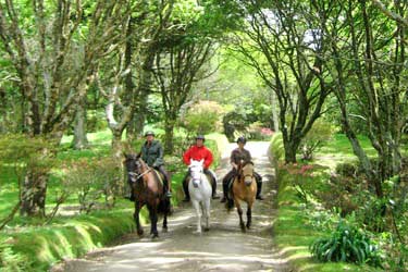 Voyage à cheval aux Açores sur Sao Miguel - Randonnée équestre organisée par Randocheval