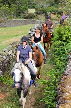 Voyage à cheval aux Açores sur Sao Miguel - Randonnée équestre organisée par Randocheval