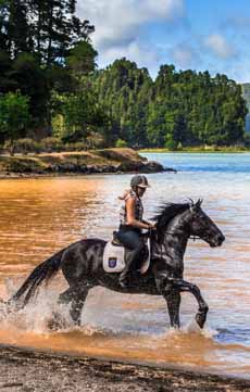 Voyage à cheval aux Açores sur Sao Miguel - Randonnée équestre organisée par Randocheval