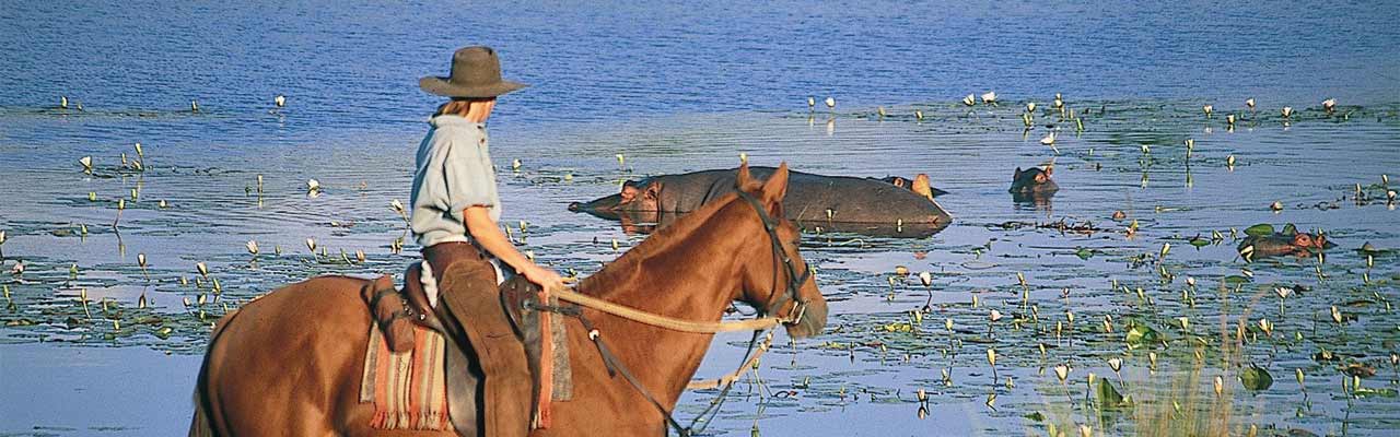 Voyage à cheval - Randonnée équestre organisée par Randocheval