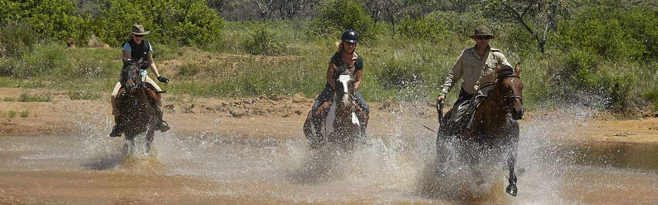 Découverte des Big Five sur notre safari équestre au Mashatu - Rando Cheval