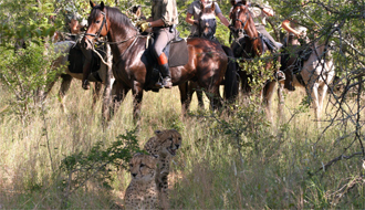 Randonnée équestre et safari à cheval en Afrique du Sud dans une réserve privée Big Five - Rando Cheval / Absolu Voyages