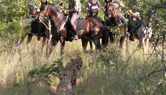 Aventure à Cheval en Afrique du Sud - RANDO CHEVAL