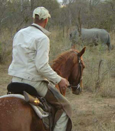 Afrique du Sud, album photos de nos safaris à cheval "Big Five" dans une réserve privée à proximité du Parc Kruger