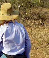 Afrique du Sud, album photos de nos safaris à cheval "Big Five" dans une réserve privée à proximité du Parc Kruger