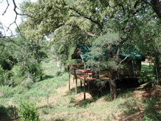 Afrique du Sud - Safari Big Five - RANDO CHEVAL