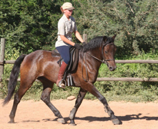 Afrique du Sud - Safari Big Five - RANDO CHEVAL