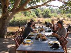 Afrique du Sud - Safari Big Five - RANDO CHEVAL