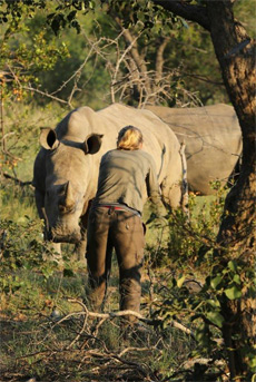 Safari équestre en famille Afrique du Sud - Randocheval