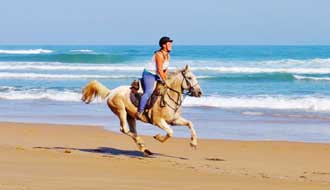 Aventure à Cheval en Afrique du Sud - RANDO CHEVAL