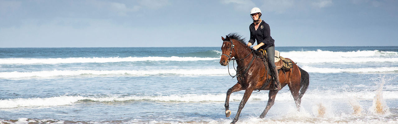 Voyage à cheval - Randonnée équestre organisée par Randocheval