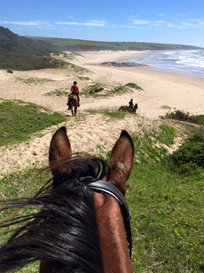 Afrique du Sud - Randonnée équestre sur la Côte Sauvage - RANDO CHEVAL