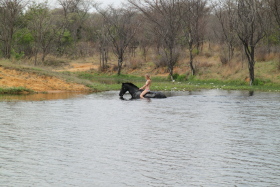 Album photo et carnet de voyages de notre séjour en ranch dans les montagnes du Waterberg en Afrique du Sud - Rando Cheval / Absolu Voyages