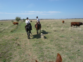 Album photo et carnet de voyages de notre séjour en ranch dans les montagnes du Waterberg en Afrique du Sud - Rando Cheval / Absolu Voyages