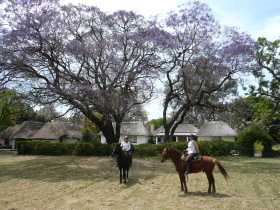 Album photo et carnet de voyages de notre séjour en ranch dans les montagnes du Waterberg en Afrique du Sud - Rando Cheval / Absolu Voyages