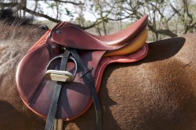 Album photo et carnet de voyages de notre séjour en ranch dans les montagnes du Waterberg en Afrique du Sud - Rando Cheval / Absolu Voyages