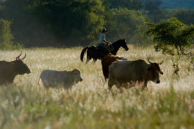 Album photo et carnet de voyages de notre séjour en ranch dans les montagnes du Waterberg en Afrique du Sud - Rando Cheval / Absolu Voyages