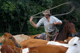 Album photo et carnet de voyages de notre séjour en ranch dans les montagnes du Waterberg en Afrique du Sud - Rando Cheval / Absolu Voyages