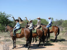 Randonnée équestre et safari dans le Waterberg ( Afrique Du Sud) - randocheval / Absolu Voyages