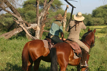 Rando Cheval - Voyage à cheval