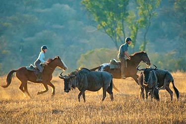 Rando Cheval - Voyage à cheval