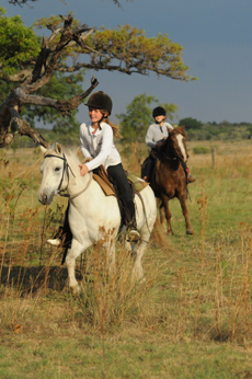 Séjournez en famille dans un ranch à la découverte de la faune sauvage avec vos enfants - Afrique du Sud - RANDOCHEVAL