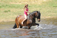 Baignade de chevaux et cavaliers dans le lac situé à proximité du Lodge - Afrique du Sud - Randocheval