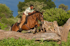 Baignade de chevaux et cavaliers dans le lac situé à proximité du Lodge - Afrique du Sud - Randocheval