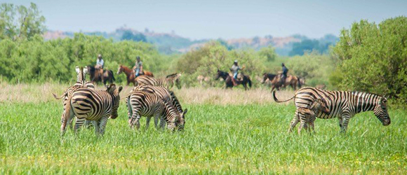 Séjournez en famille dans un ranch à la découverte de la faune sauvage avec vos enfants - Afrique du Sud - RANDOCHEVAL