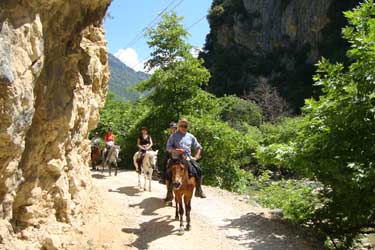 Rando Cheval - Voyage à cheval