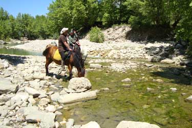 Rando Cheval - Voyage à cheval