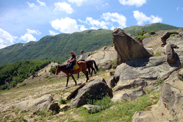 Rando Cheval - Voyage à cheval