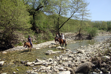 Rando Cheval - Voyage à cheval