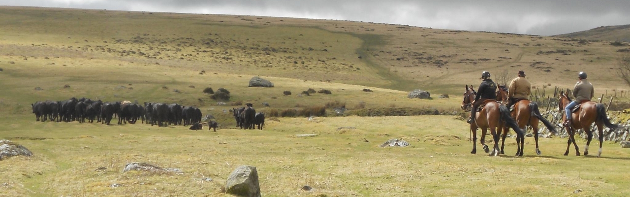 Voyage à cheval - Randonnée équestre organisée par Randocheval