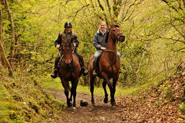 RANDOCHEVAL - randonnée équestre en Irlande, stage linguistique à Donegal - RANDOCHEVAL