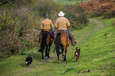 RANDOCHEVAL - randonnée équestre en Irlande, stage linguistique à Donegal - RANDOCHEVAL