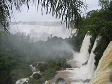 Ne manquez pas la découverte de cette merveille naturelle que sont les chutes d'Iguazu - RANDOCHEVAL