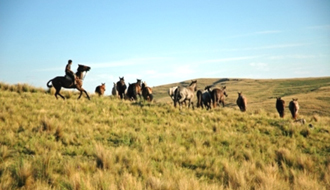 Voyage et aventure à cheval