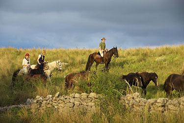 Rando Cheval - Voyage à cheval