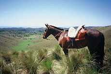 ARGENTINE - Estancia Cordoba - RANDO CHEVAL