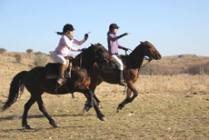 ARGENTINE - Estancia Cordoba - RANDO CHEVAL