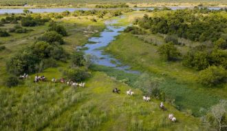 Randonn&eacute;e &agrave; cheval - Un voyage Rando Cheval