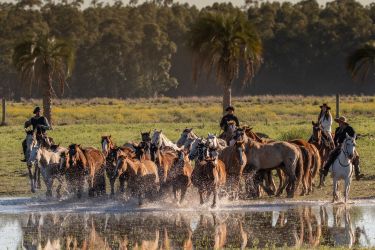 Rando Cheval - Voyage &agrave; cheval