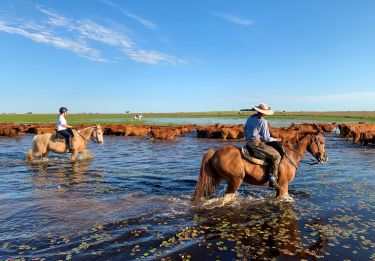 Rando Cheval - Voyage &agrave; cheval